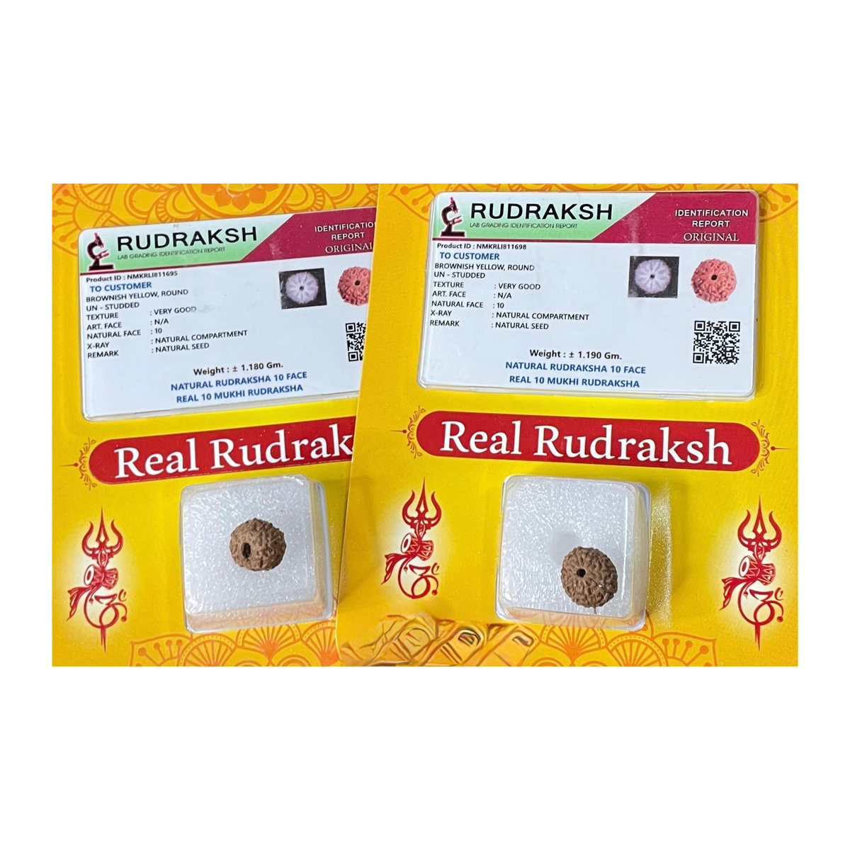 DashMukhi Rudraksha  Authentic, Bears Ten(10) lines, Certified