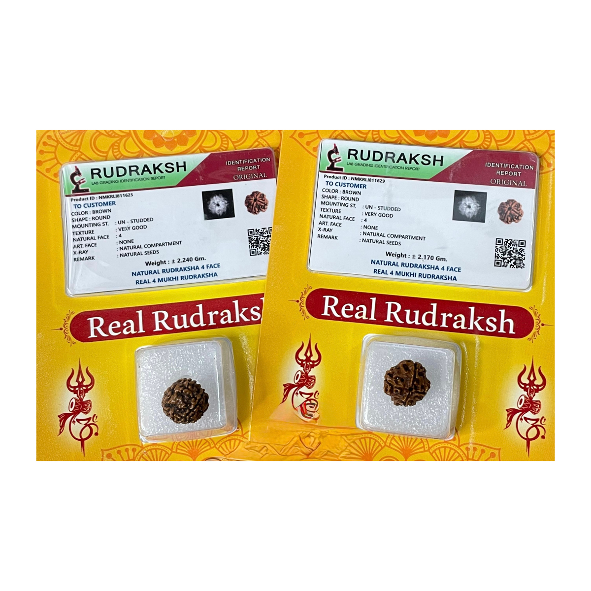 ChaturMukhi Rudraksha, Authentic, Bears four (4) lines