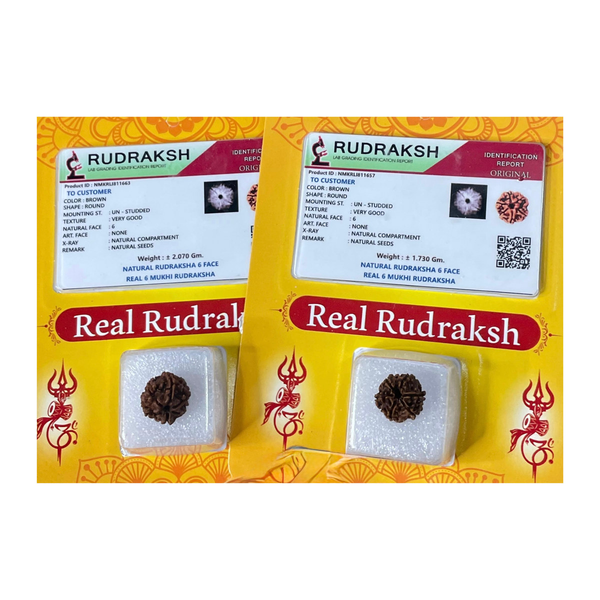 ShashtMukhi Rudraksha, Authentic, Bears Six (6) lines