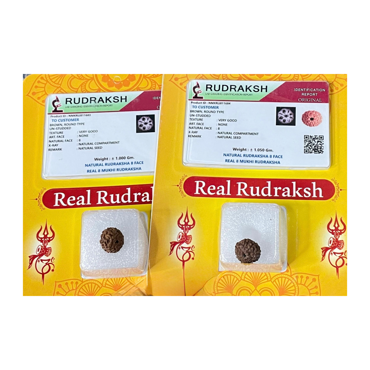 AsthMukhi Rudraksha, Authentic, Bears Eight (8) lines, Certified