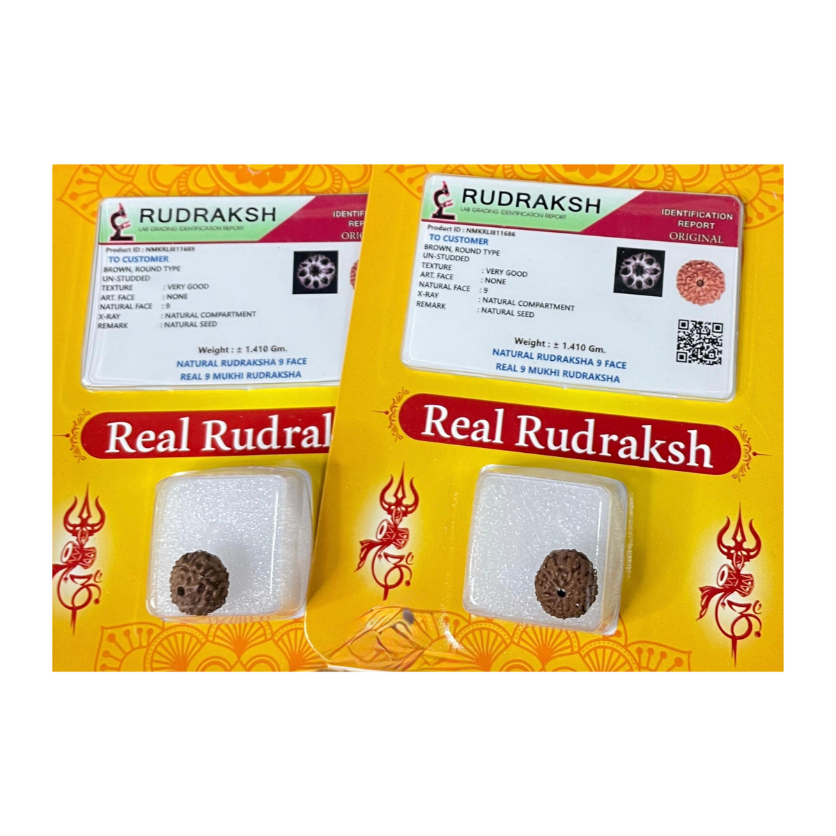 NavMukhi Rudraksha  Authentic, Bears Nine(9) lines, Certified
