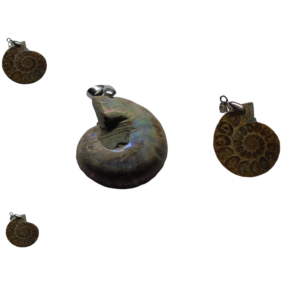 Ammonite (Fossil) Pendant with 1 Piece - Shubh Sanket Vastu