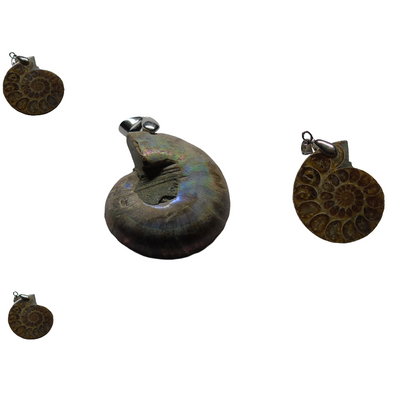 Ammonite (Fossil) Pendant with 1 Piece - Shubh Sanket Vastu