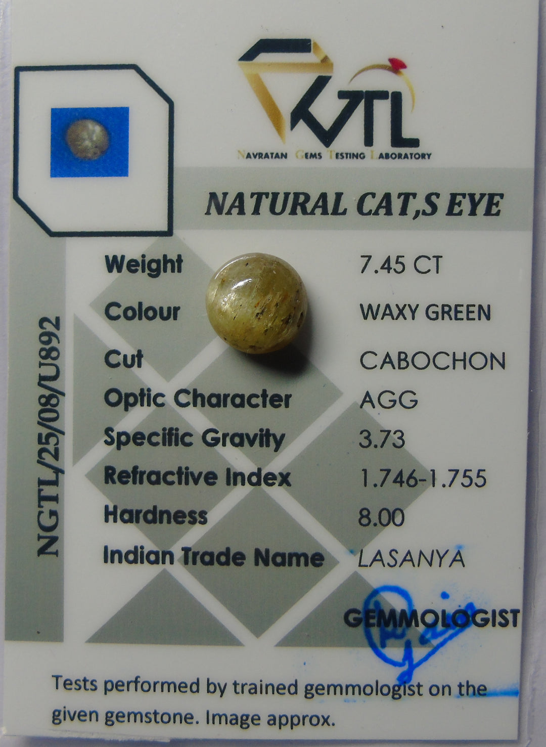 Catseye(Lehsunia)_YellowBlacking: Luster A:Natural, Certified