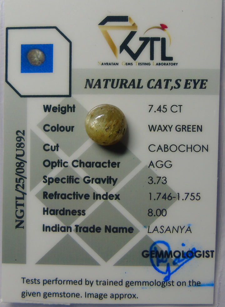 Catseye(Lehsunia)_YellowBlacking: Luster A:Natural, Certified