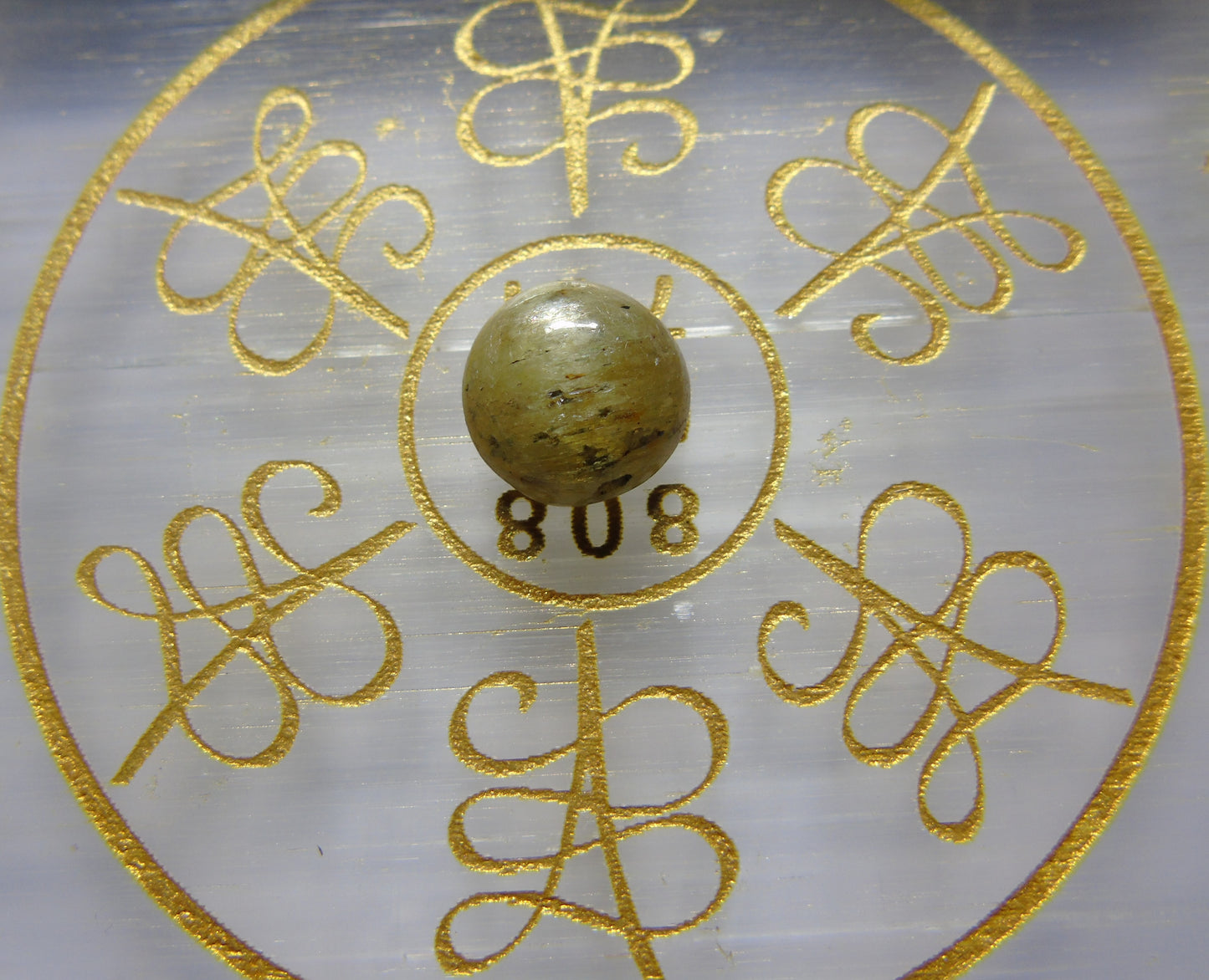 CatsEye (Lehsunia) YellowBlacking