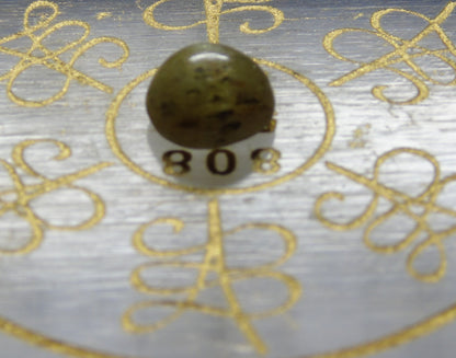 CatsEye (Lehsunia) YellowBlacking