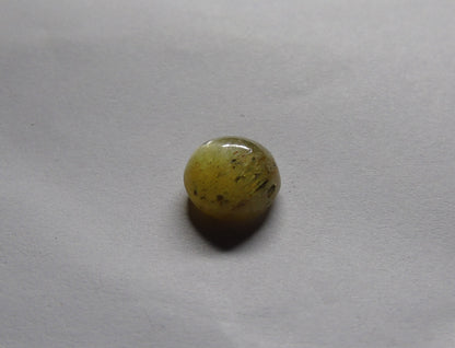 CatsEye (Lehsunia) YellowBlacking