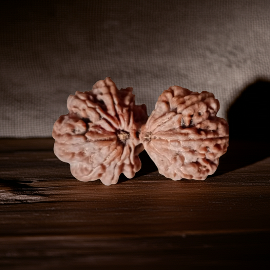 GauriShankar Rudraksha