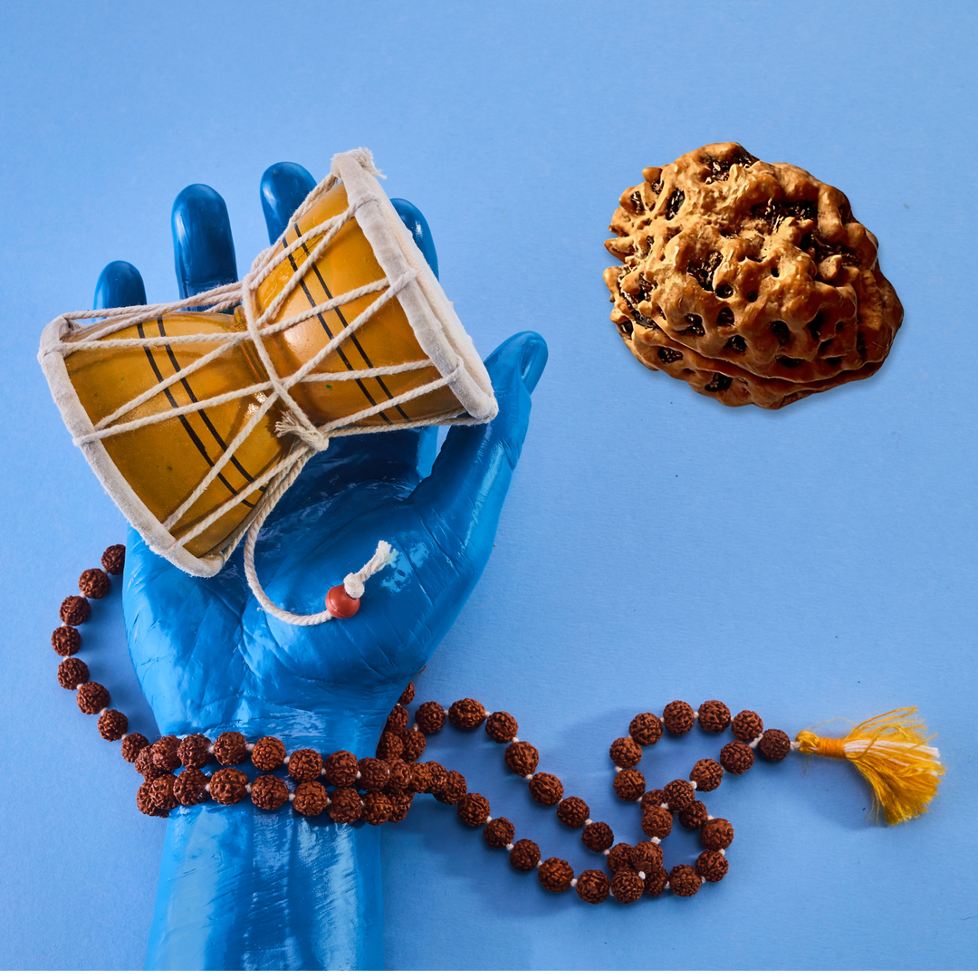 DwiMukhi Rudraksha, Authentic, Bears two (2) lines, Oval Shape, Certified