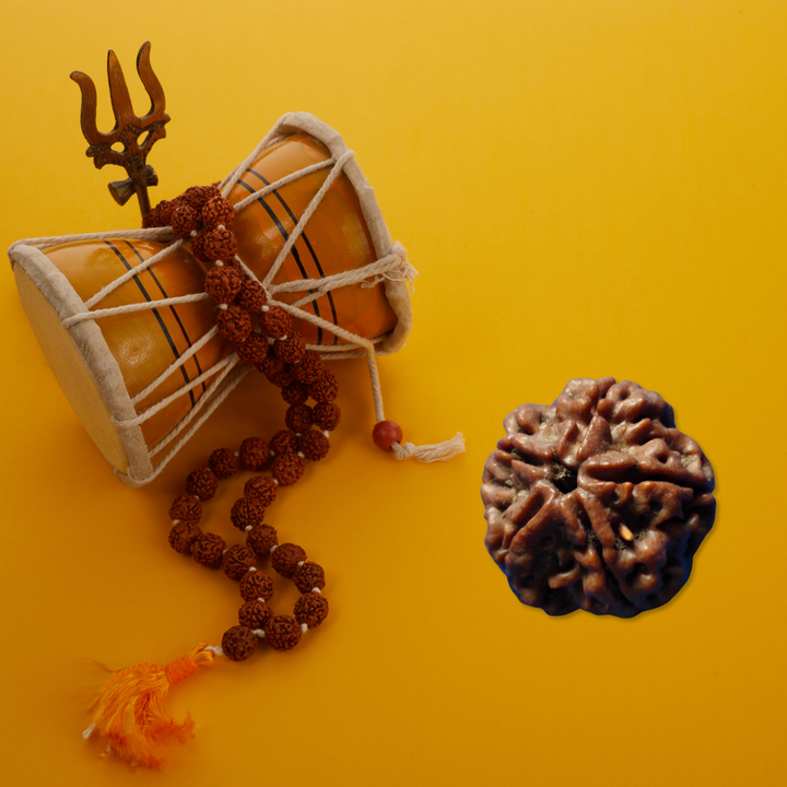 PanchMukhi Rudraksha, Authentic, Bears Five (5) lines