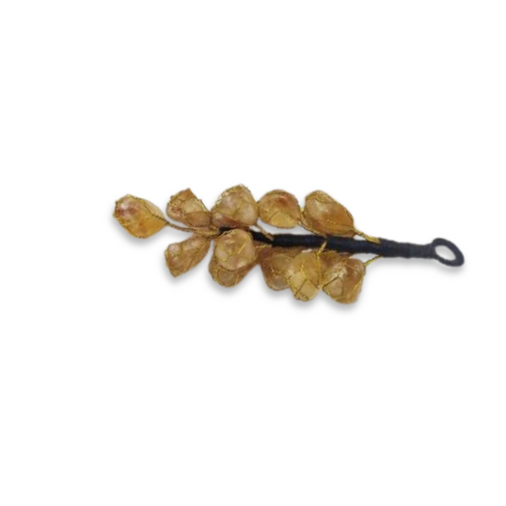 Citrine Hanger