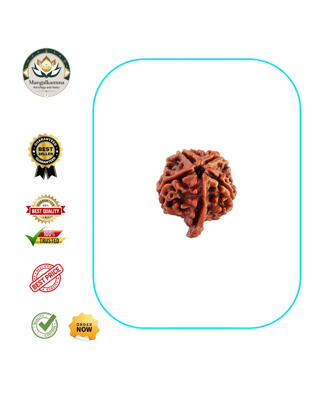 Ganesh Rudraksha  Authentic, Certified