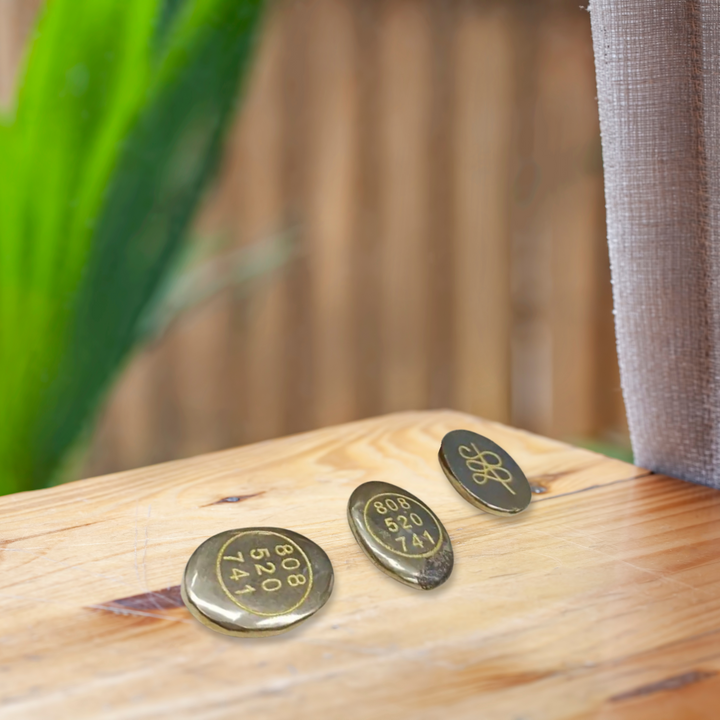 Zibu Coins - Money