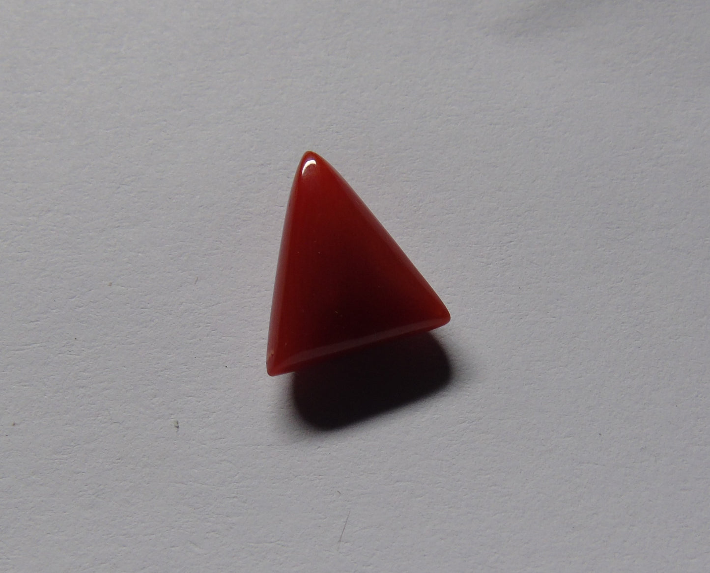 Coral (Munga): Tikona