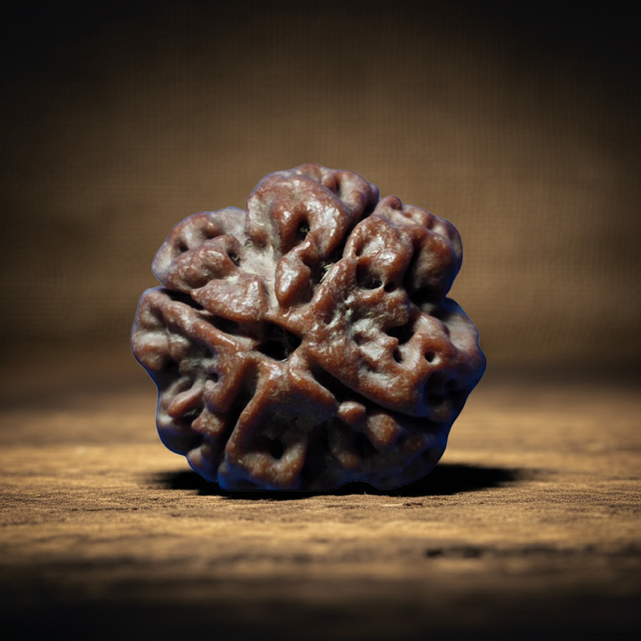 ChaturMukhi Rudraksha, Authentic, Bears four (4) lines